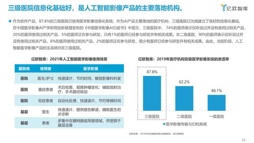 2021年人工智能醫(yī)學(xué)影像企業(yè)發(fā)展報(bào)告 聚焦人工智能基礎(chǔ)軟件開發(fā)